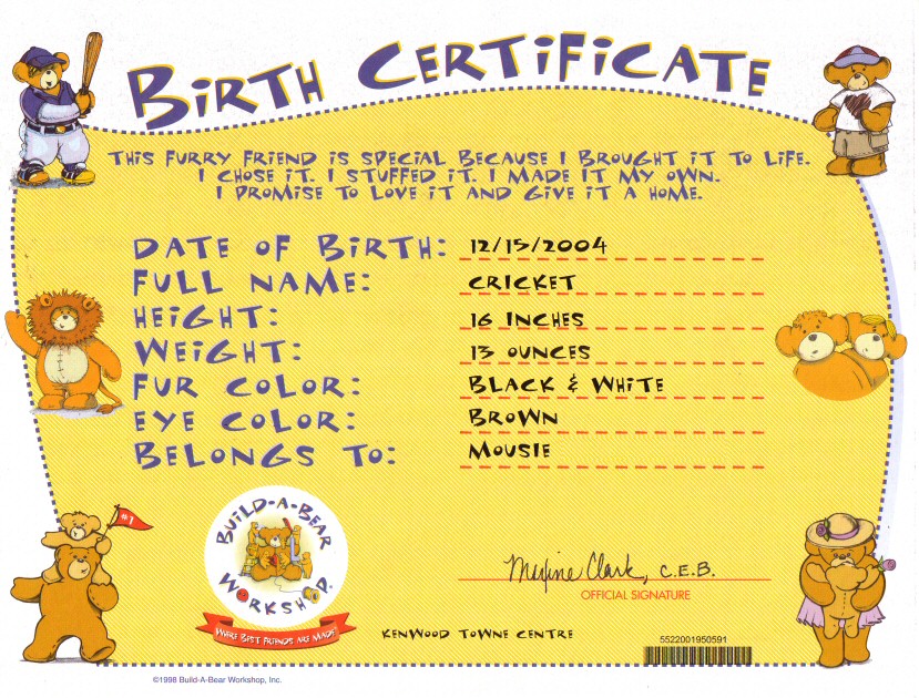 Buildabear Birth Certificate