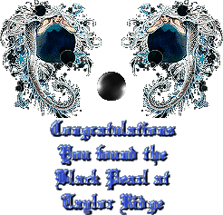 Congratulations - You found the Black Pearl at Taylor Ridge