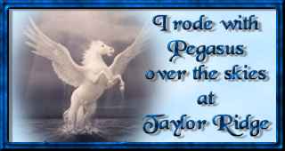 I rode with Pegasus over the skies at Taylor Ridge