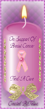 In Support of Breast Cancer - Find A Cure  (created by Felisa)