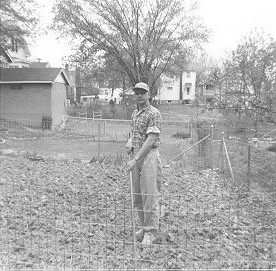 Gardening