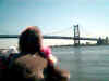 Daisy at the Ben Franklin Bridge