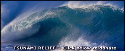 TSUNAMI RELIEF - Click below to donate