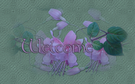 Welcome