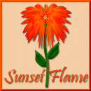 Sunset Flame