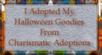 I Adopted My Halloween Goodies From Charismatic Adoptions