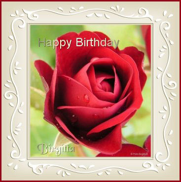 From Birgitta