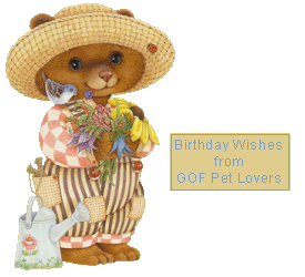 From the Pet Lovers Committee