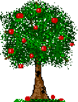 Apple tree