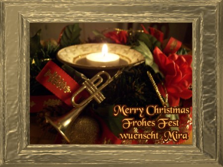 Merry Christmas - Frohes Fest - wuenscht Mira