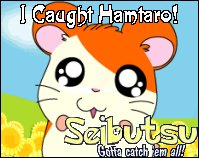 Hamtaro