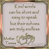 Kind words can be short and easy to speak but their echoes are truly endless -- Mother Teresa
