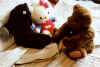 Teddy, Hello Kitty, and Christopher