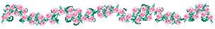 Line of pink roses