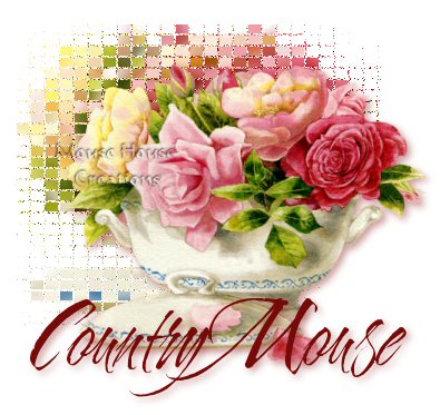 CountryMouse