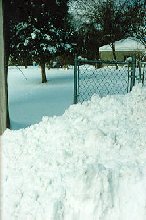 Huge mound of snow and neighbour's yard