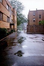 Driveway in summer