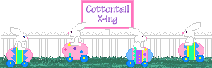 Cottontail X-ing