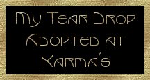 My Tear Drop Adopted at Karma's