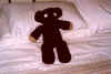 Territorial Teddy!