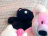 Teddy and Peace