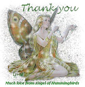 Thank you - Much love from Angel of Hummingbirds